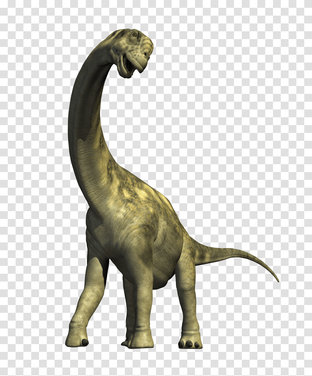 Dinosaur, Fantasy, Reptile, Animal, T-Rex Transparent Png