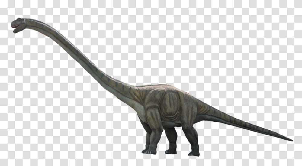 Dinosaur, Fantasy, Reptile, Animal, T-Rex Transparent Png