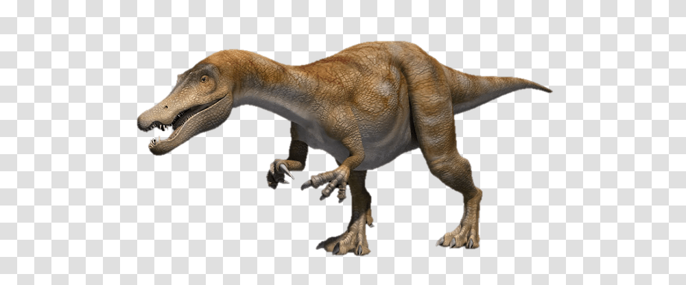 Dinosaur, Fantasy, Reptile, Animal, T-Rex Transparent Png