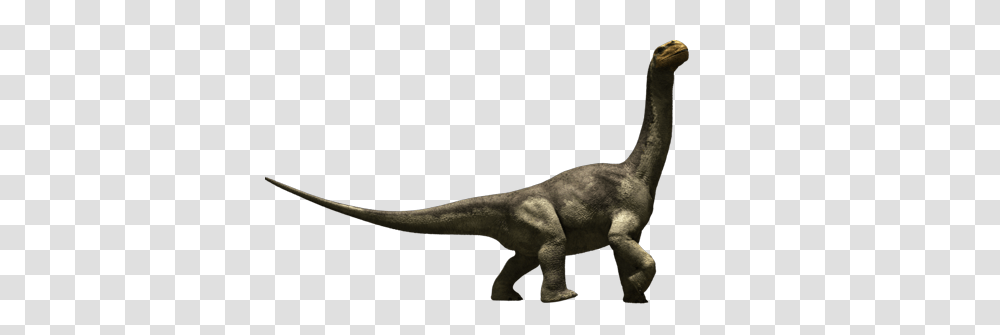 Dinosaur, Fantasy, Reptile, Animal, T-Rex Transparent Png