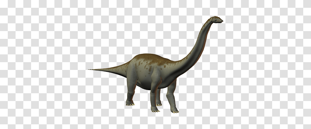 Dinosaur, Fantasy, T-Rex, Reptile, Animal Transparent Png