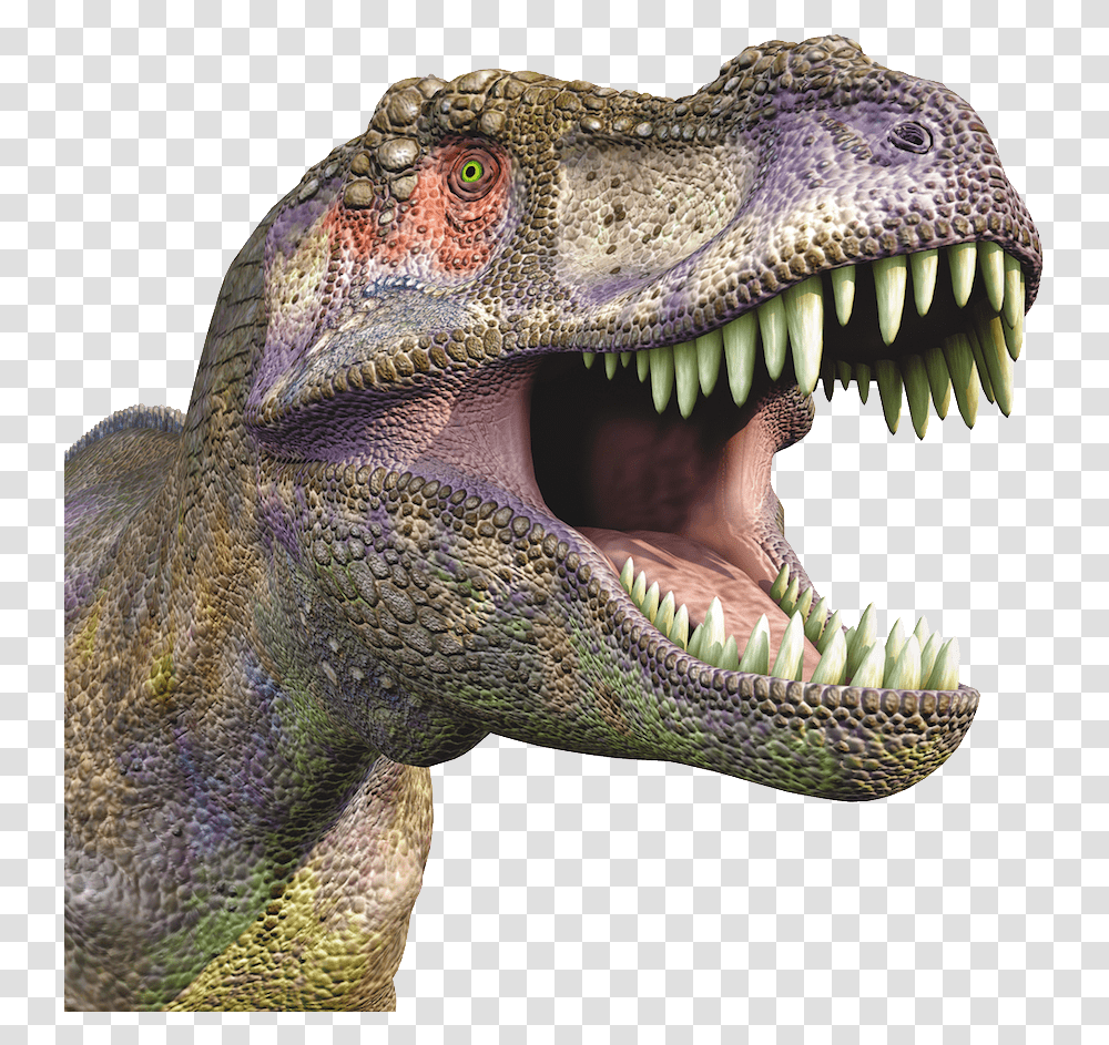 Dinosaur, Fantasy, T-Rex, Reptile, Animal Transparent Png