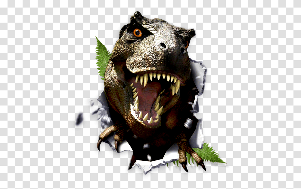 Dinosaur, Fantasy, T-Rex, Reptile, Animal Transparent Png