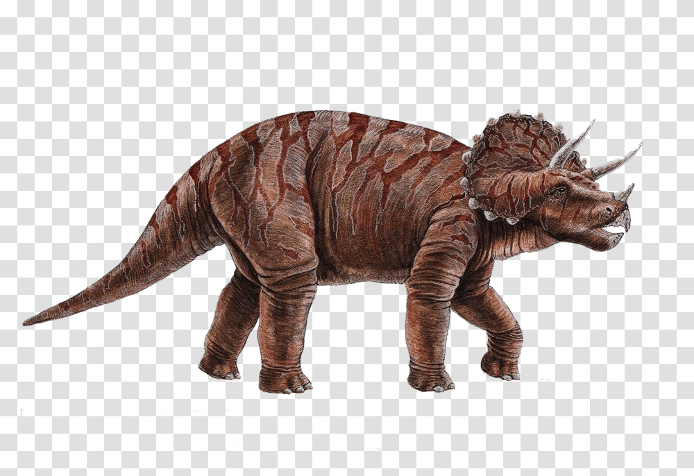 Dinosaur, Fantasy Transparent Png