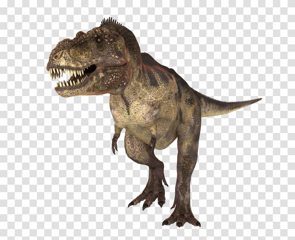 Dinosaur, Fantasy Transparent Png