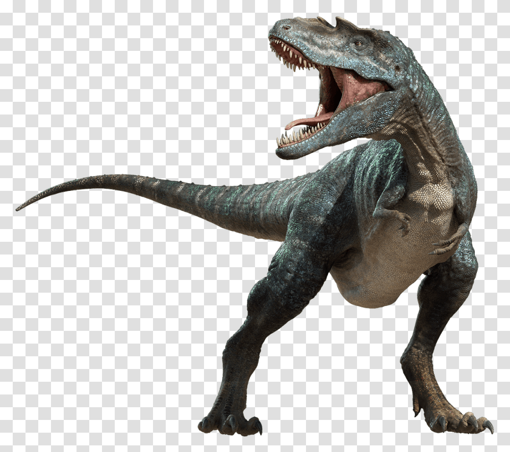 Dinosaur File, Fantasy, Reptile, Animal, T-Rex Transparent Png