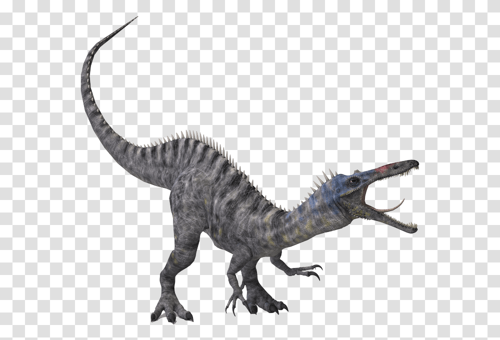 Dinosaur Fossil Drawing Baryonyx Clipart, Reptile, Animal, T-Rex, Lizard Transparent Png