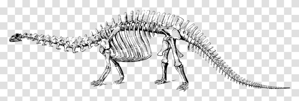 Dinosaur Fossil Paleontology Skeleton Dinosaur Fossil Clipart, Gray, World Of Warcraft Transparent Png