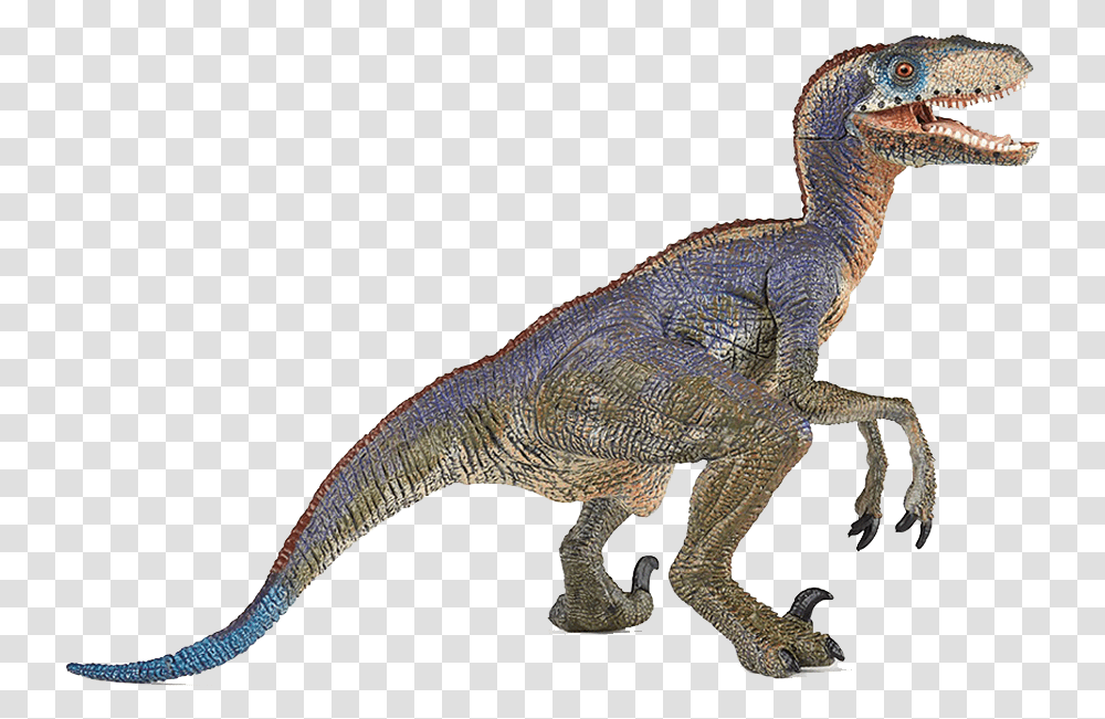 Dinosaur Free Images Velociraptor Dinosaurs, Lizard, Reptile, Animal, T-Rex Transparent Png