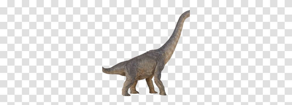Dinosaur Icon Web Icons, T-Rex, Reptile, Animal Transparent Png