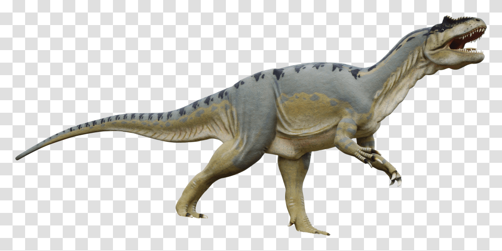 Dinosaur Image Background Dinosaur, Reptile, Animal, T-Rex Transparent Png