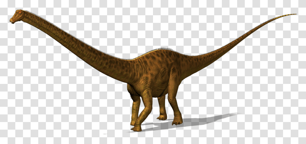 Dinosaur Image Diplodocus, Reptile, Animal, T-Rex, Lizard Transparent Png