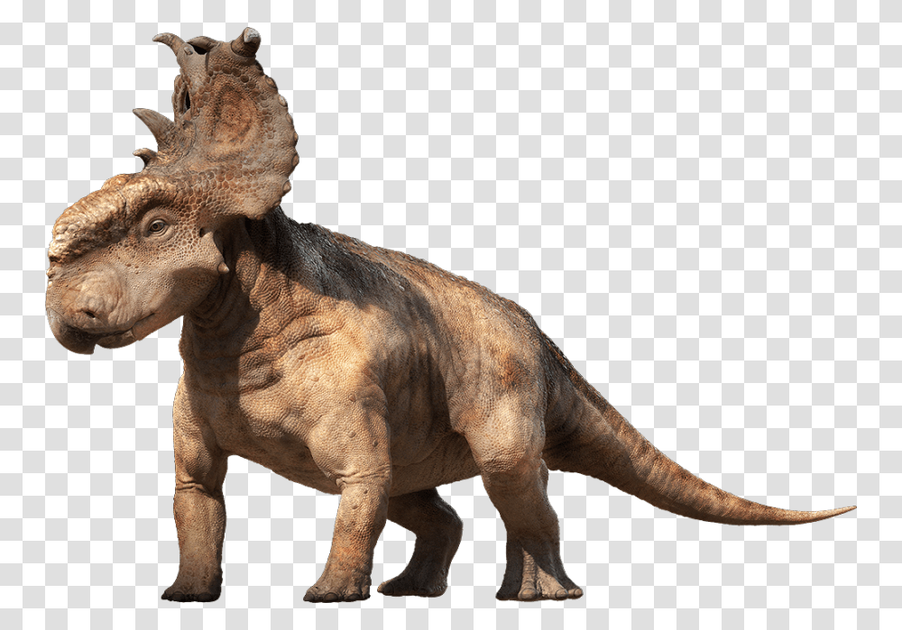 Dinosaur Image Pachyrhinosaurus Dinosaurs, Reptile, Animal, T-Rex, Elephant Transparent Png