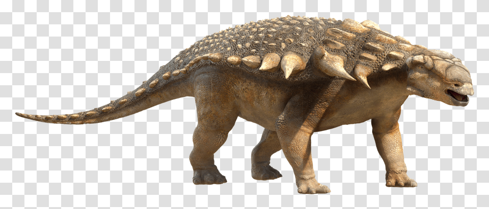 Dinosaur Image Without Background Edmontonia Dinosaur, Reptile, Animal, T-Rex Transparent Png