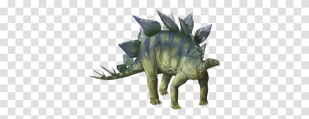 Dinosaur Images Dinosaur, Animal, Reptile, T-Rex, Fish Transparent Png