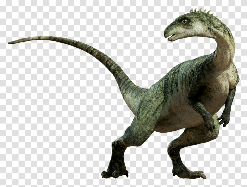 Dinosaur Images Dinosaurs, Reptile, Animal, T-Rex, Lizard Transparent Png