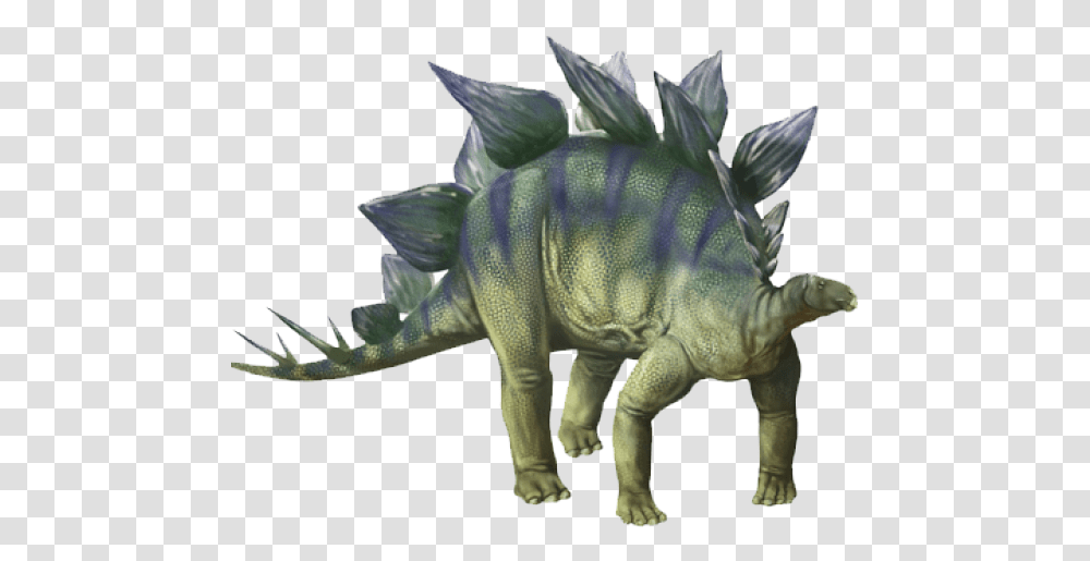 Dinosaur Images, Reptile, Animal, T-Rex Transparent Png