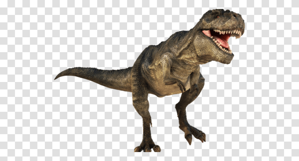 Dinosaur Images T Rex Dinosaur, Reptile, Animal Transparent Png