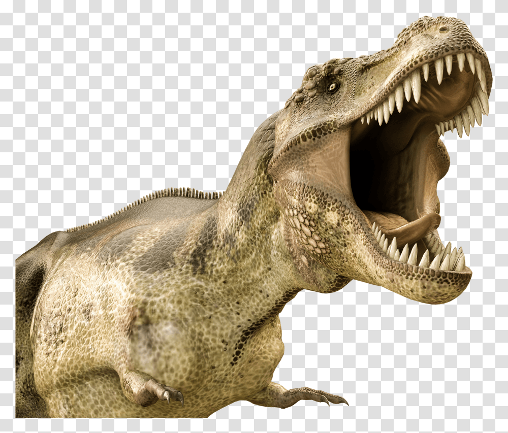 Dinosaur Jaws Transparent Png