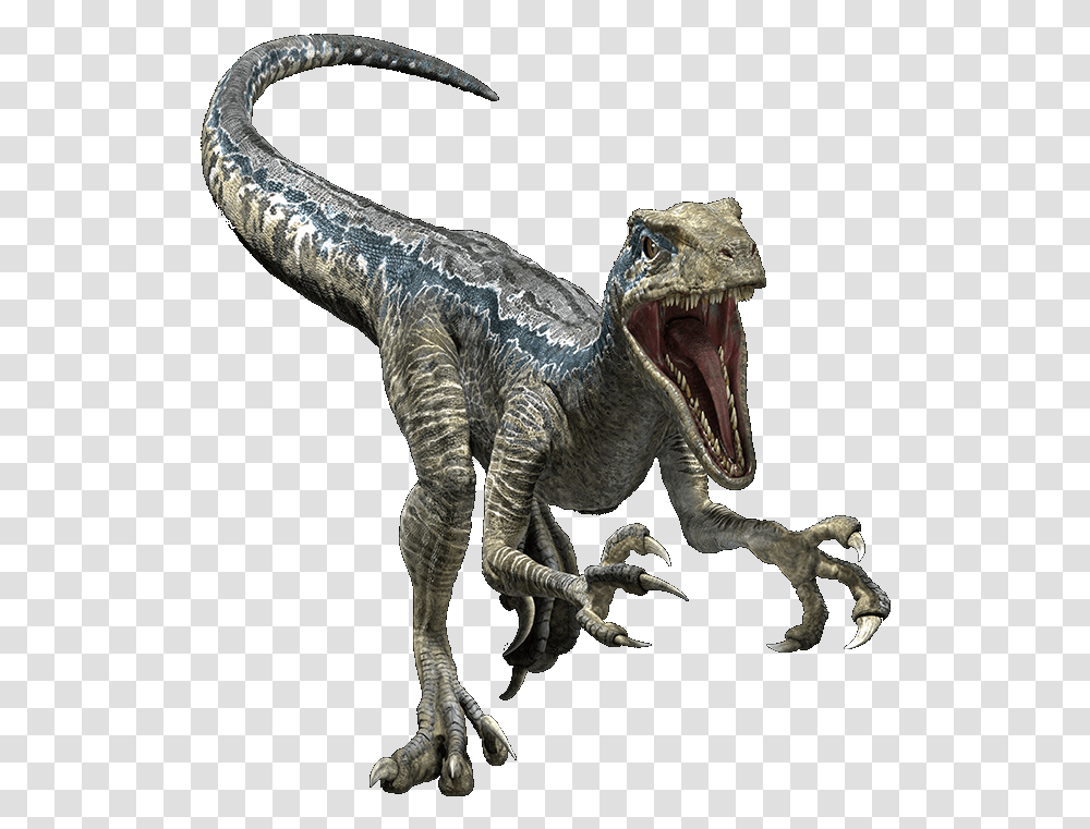 Dinosaur Jurassic World Evolution Velociraptor, Reptile, Animal, T-Rex, Elephant Transparent Png