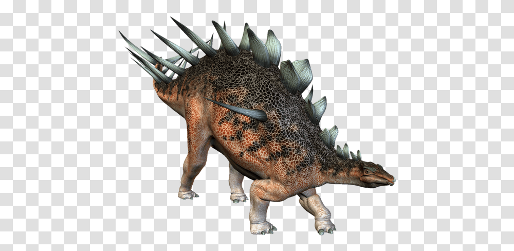 Dinosaur Kentrosaurus Stock Photography Kentrosaurus, Reptile, Animal, T-Rex Transparent Png