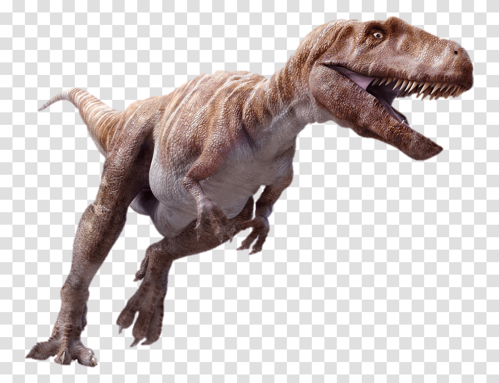Dinosaur Megalosaurus Dinosaur, T-Rex, Reptile, Animal Transparent Png