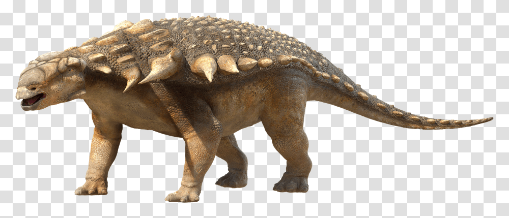 Dinosaur Photo Dinosaurs With Body Armour, Reptile, Animal, T-Rex, Crocodile Transparent Png