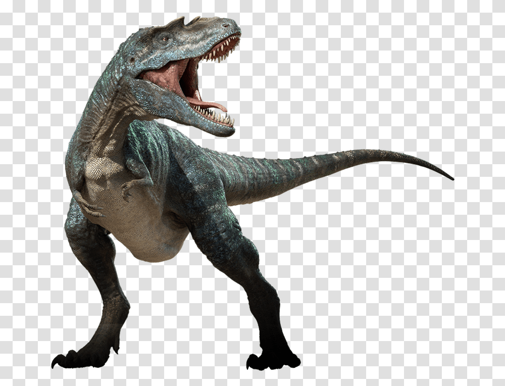 Dinosaur Picture Gorgosaurus Walking With Dinosaurs, Reptile, Animal, T-Rex, Lizard Transparent Png