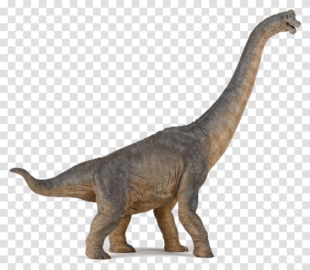 Dinosaur Picture, T-Rex, Reptile, Animal Transparent Png