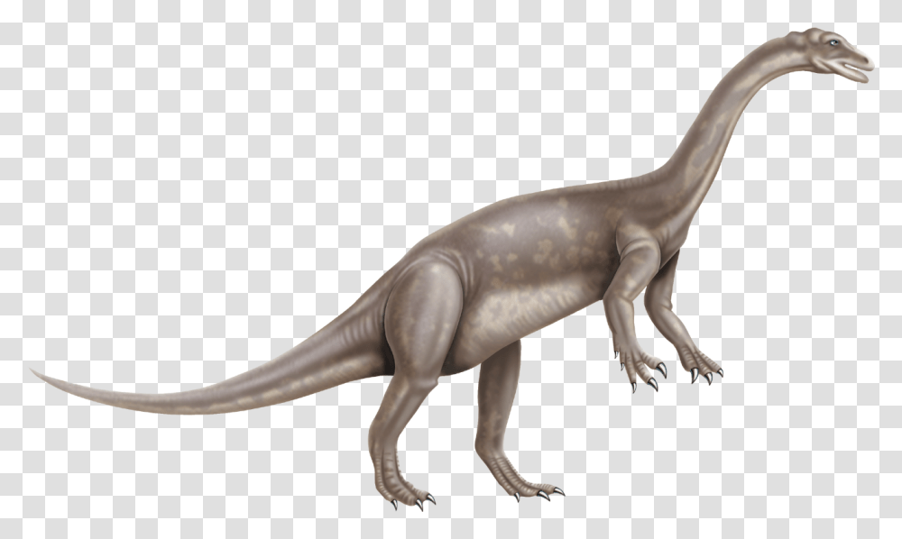 Dinosaur, Reptile, Animal, T-Rex, Antelope Transparent Png