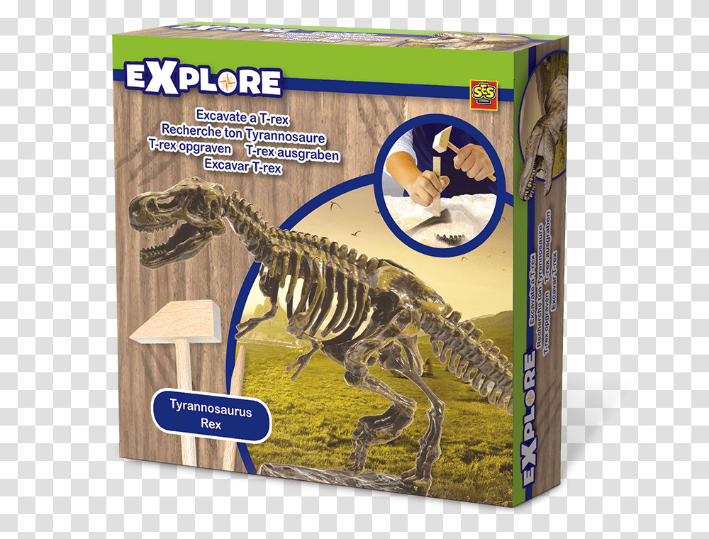 Dinosaur, Reptile, Animal, T-Rex Transparent Png