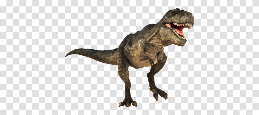 Dinosaur, Reptile, Animal, T-Rex Transparent Png