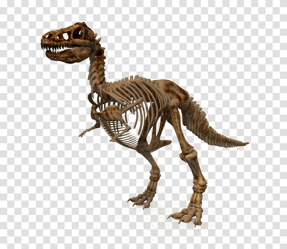 Dinosaur, Reptile, Animal, T-Rex Transparent Png