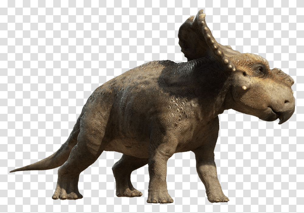 Dinosaur Scowler Pachyrhinosaurus Walking With Dinosaurs, Reptile, Animal, Elephant, Wildlife Transparent Png