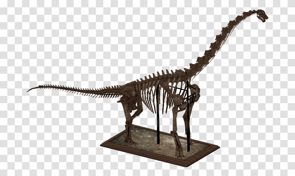 Dinosaur Skeletons Download Brachiosaurus Skeleton, Reptile, Animal, T-Rex, Lizard Transparent Png