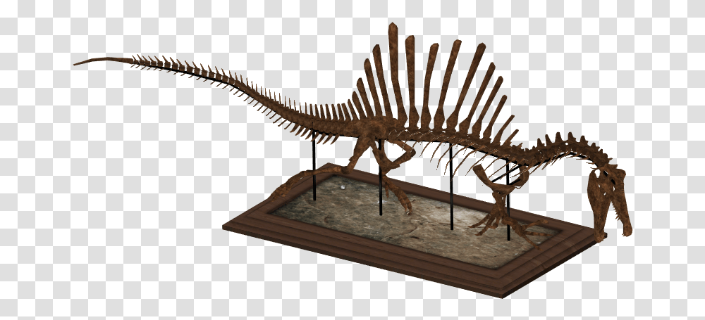 Dinosaur Skeletons Download Lesothosaurus, Reptile, Animal, Fossil Transparent Png