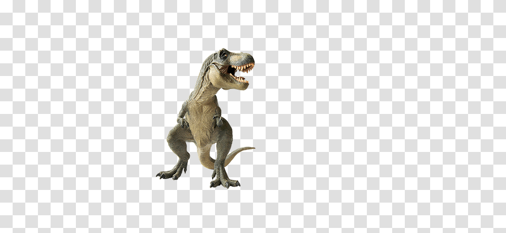 Dinosaur Standing Left, Reptile, Animal, T-Rex, Lizard Transparent Png