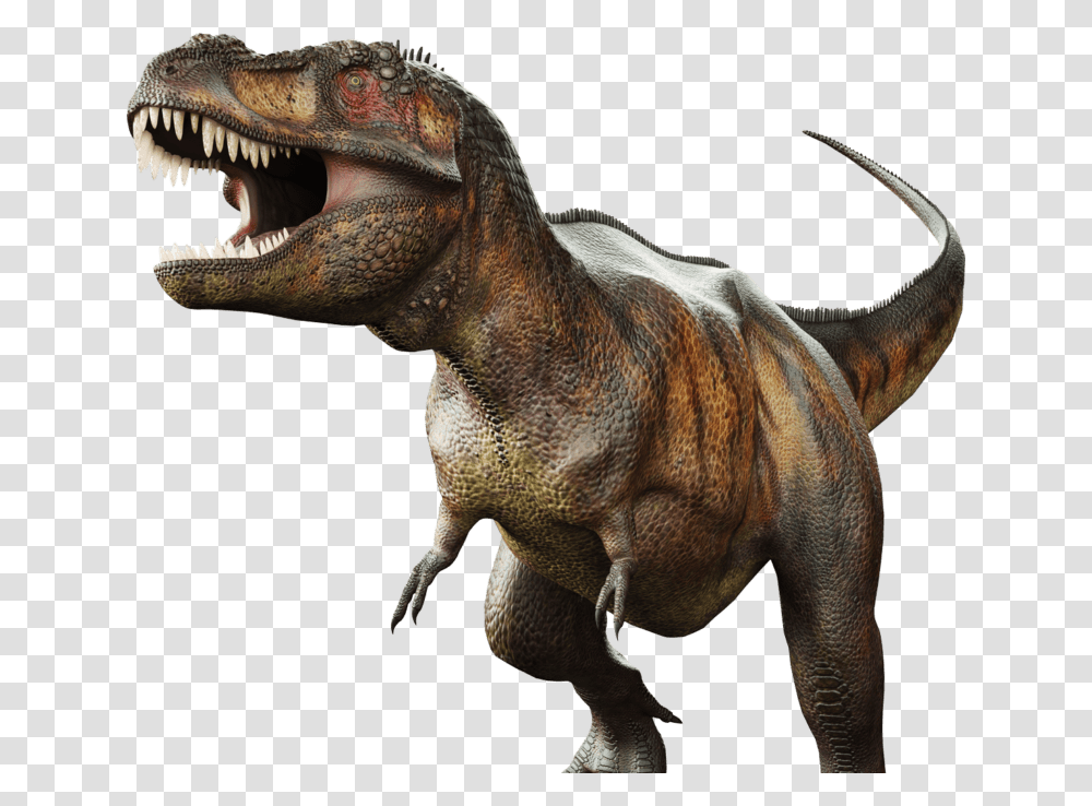 Dinosaur, T-Rex, Reptile, Animal, Antelope Transparent Png