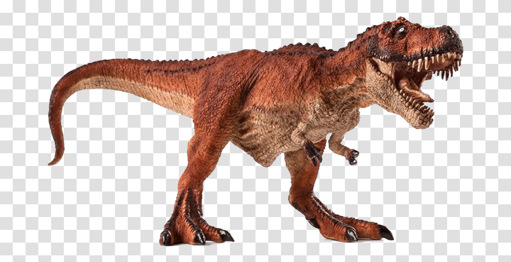 Dinosaur, T-Rex, Reptile, Animal Transparent Png