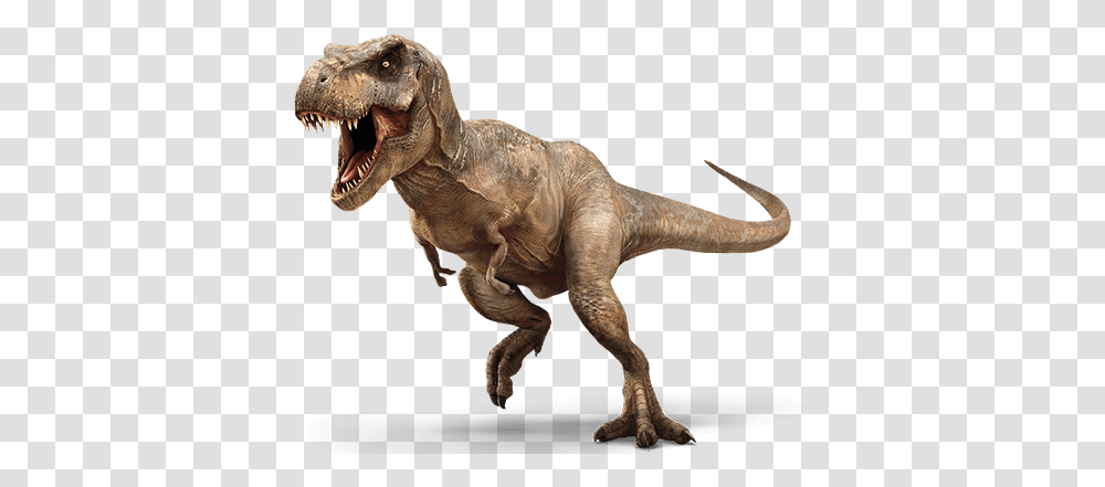 Dinosaur T Rex, T-Rex, Reptile, Animal Transparent Png