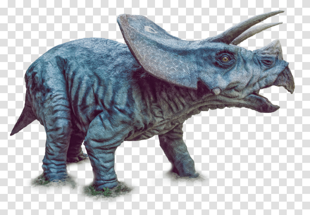 Dinosaur Triceratops, Reptile, Animal, T-Rex, Figurine Transparent Png