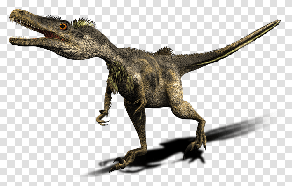 Dinosaur Vector Free Background Image, Reptile, Animal, T-Rex Transparent Png