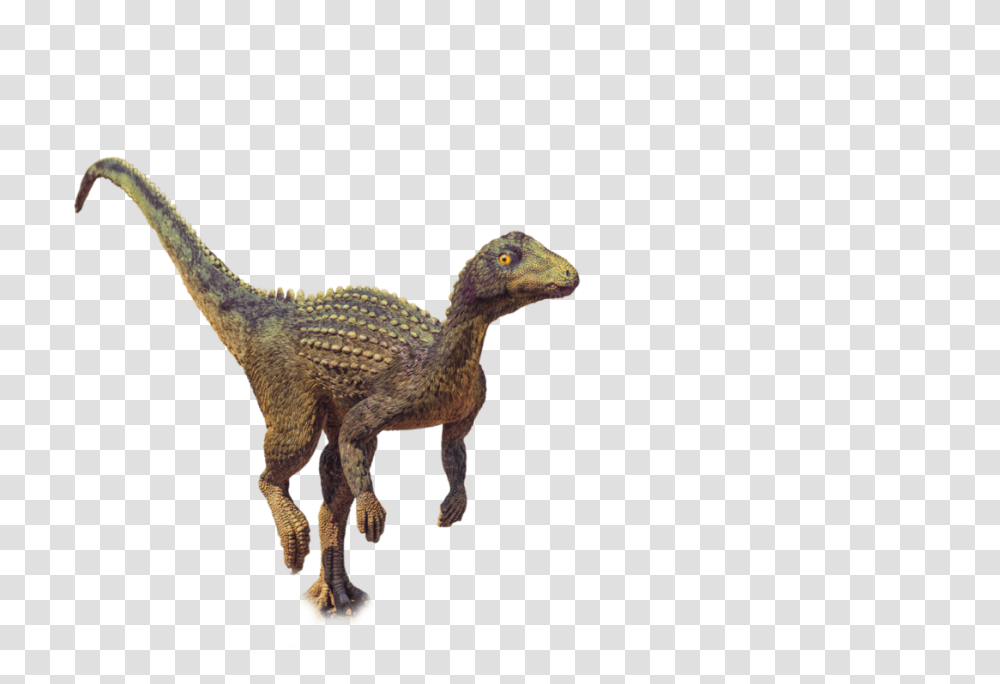 Dinosaur Vector Free Download Image Vector Clipart, Reptile, Animal, T-Rex, Bird Transparent Png