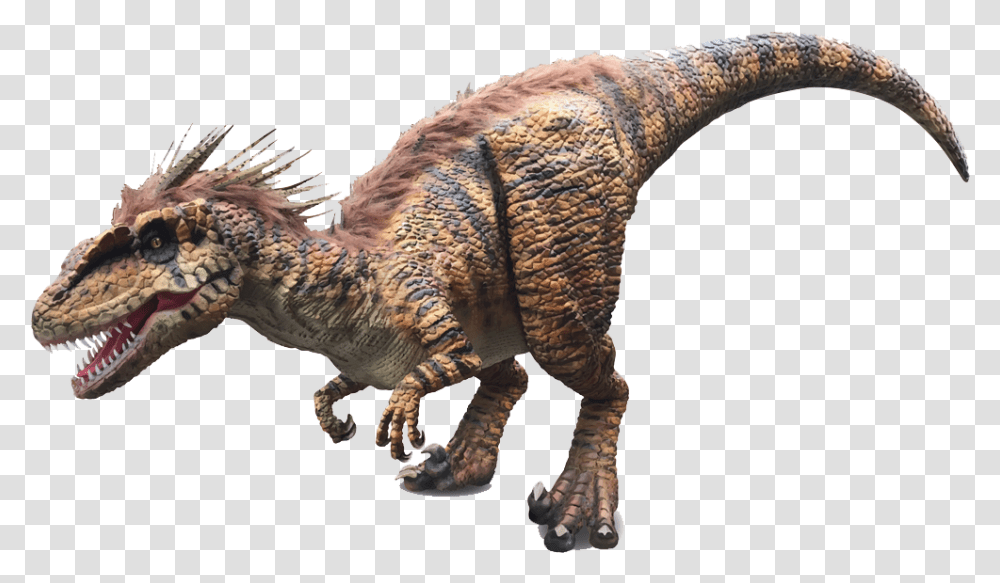 Dinosaur Velociraptor Dilophosaurus Background Dinosaur, T-Rex, Reptile, Animal, Elephant Transparent Png