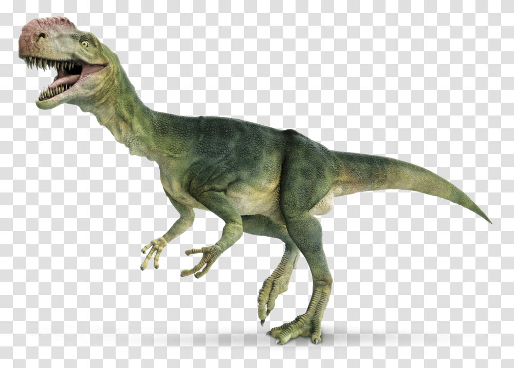 Dinosaur White Background Hd, Reptile, Animal, T-Rex Transparent Png