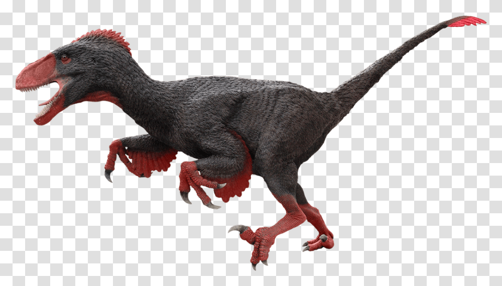 Dinosauranimal Animalextinctionclaw Utahraptor, Reptile, T-Rex, Bird Transparent Png