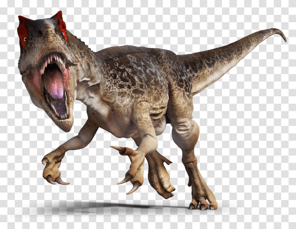 Dinosaurs Allosaurus, Reptile, Animal, T-Rex Transparent Png
