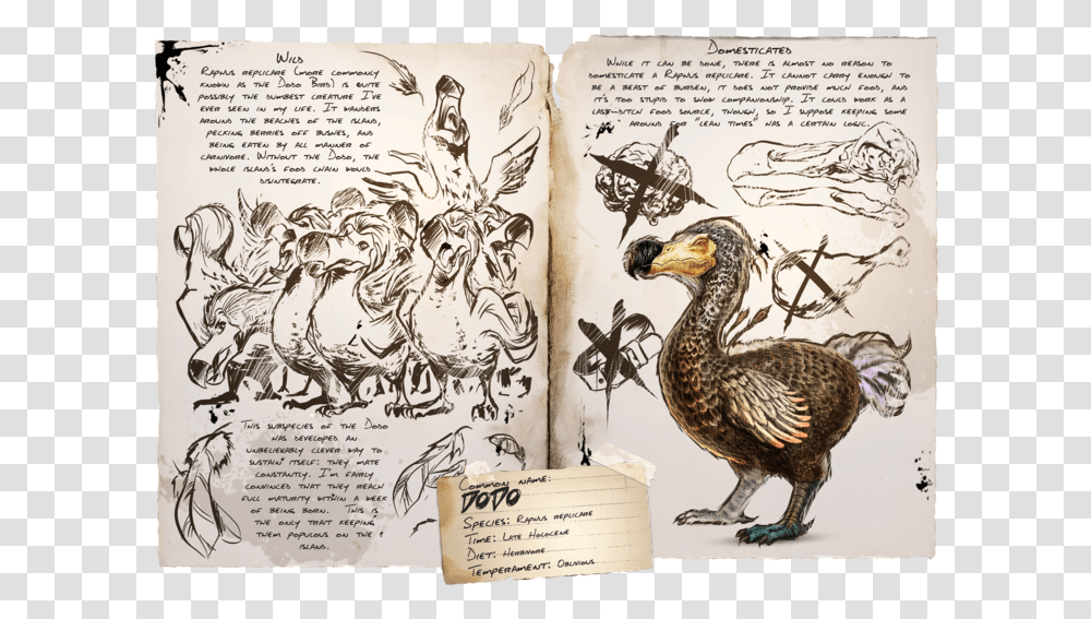 Dinosaurs Ark Survival, Bird, Animal, Dodo Transparent Png
