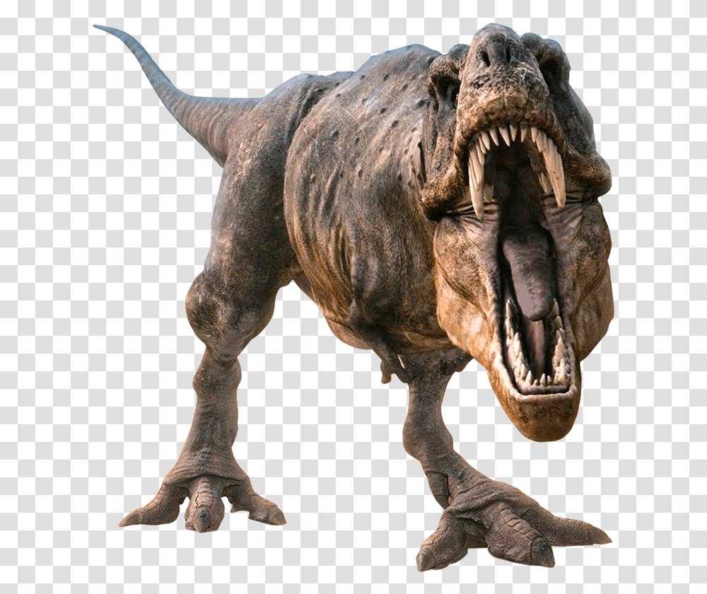 Dinosaurs Background T Rex, T-Rex, Reptile, Animal Transparent Png