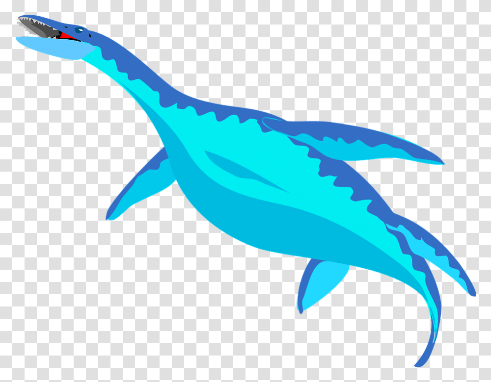 Dinosaurs Clipart Blue, Sea Life, Animal, Mammal, Whale Transparent Png